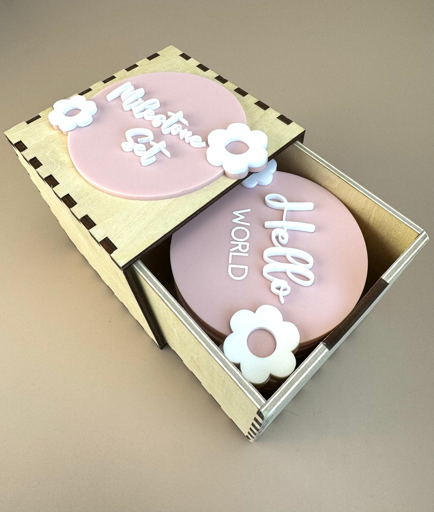 Flower Pink Milestone Disc Set