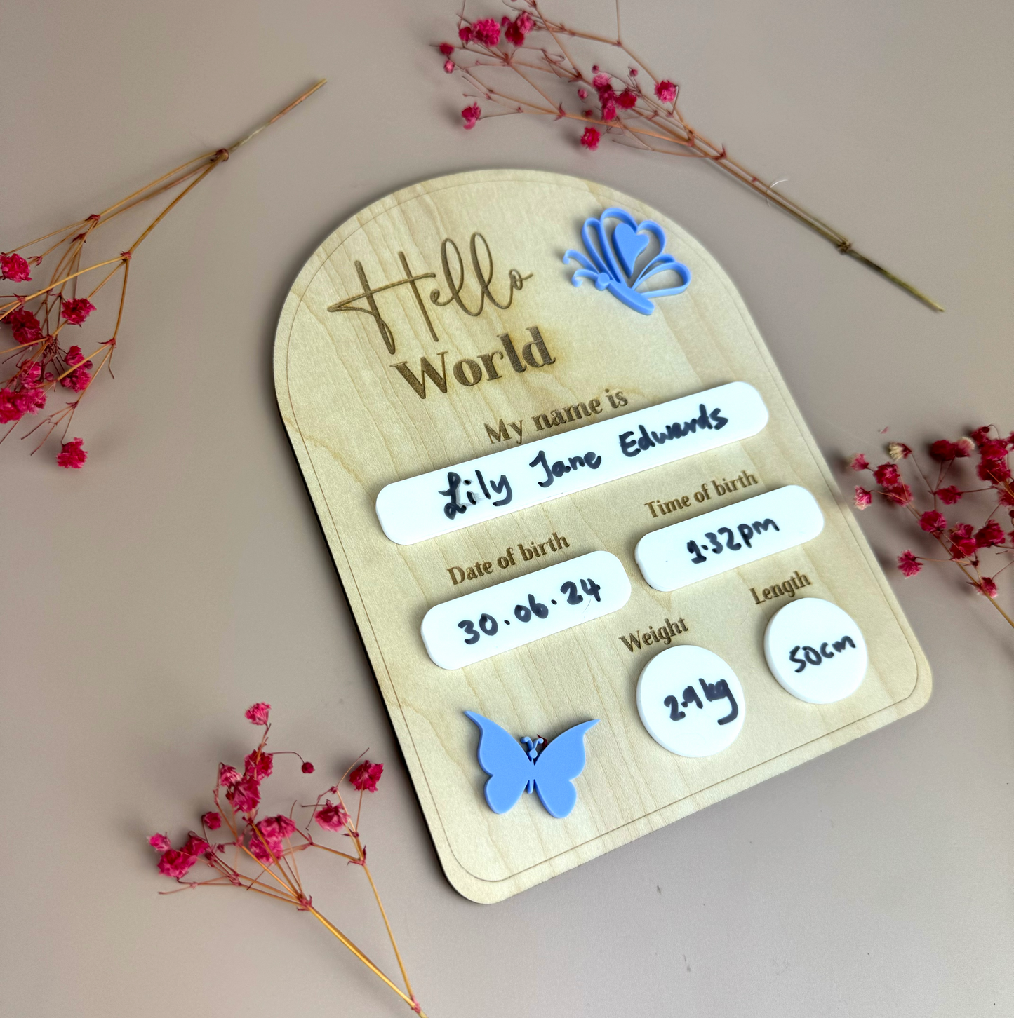 Birth Plaque - Hello World - Butterflies