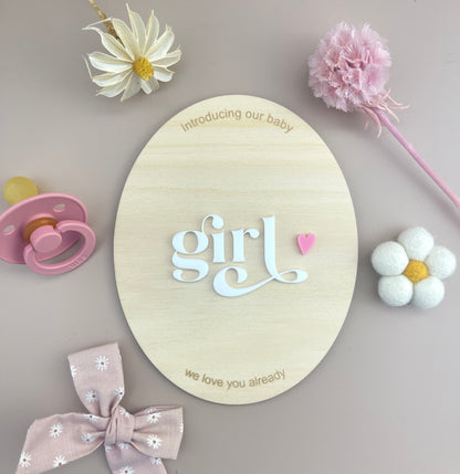 Introducing our Baby Girl - Birth Announcement Plaque