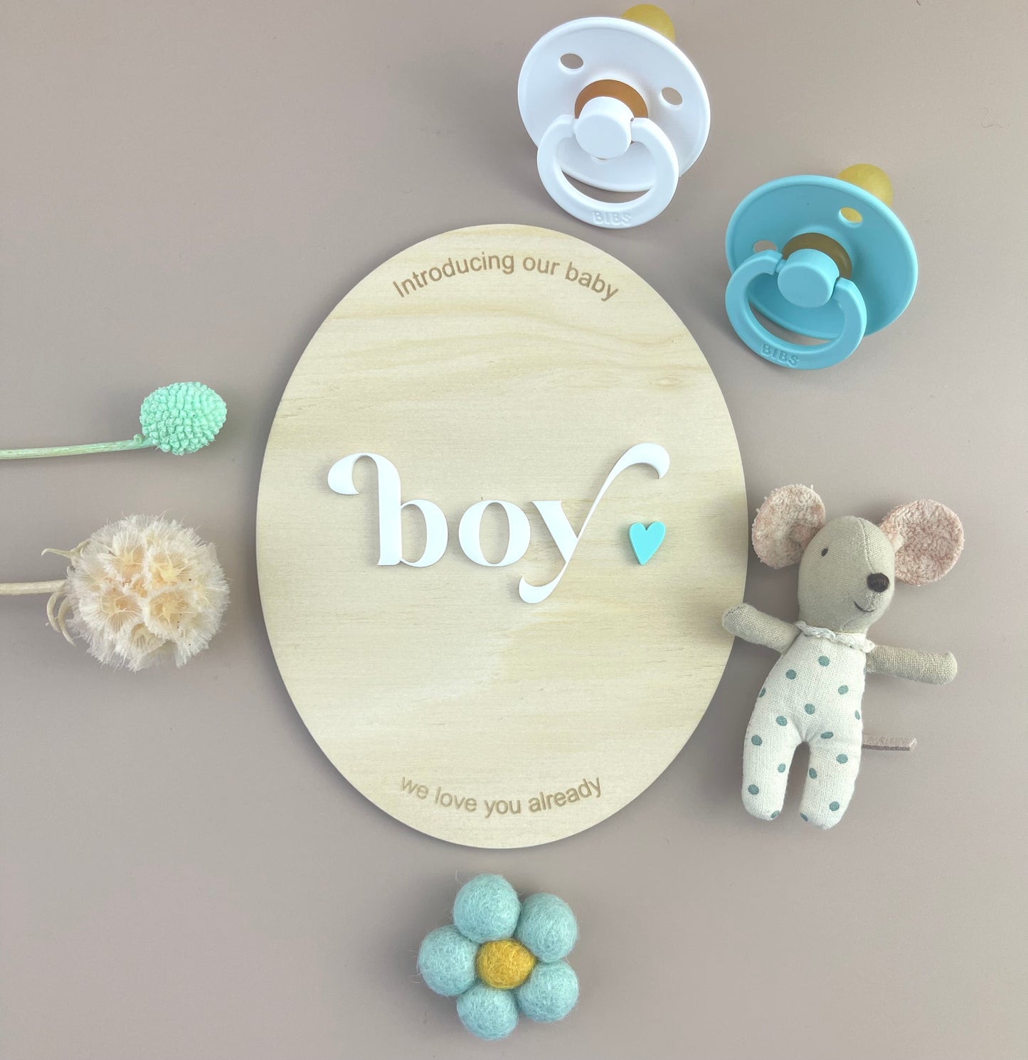 Introducing our Baby Boy - Birth Announcement Plaque