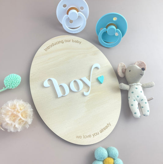 Introducing our Baby Boy - Birth Announcement Plaque